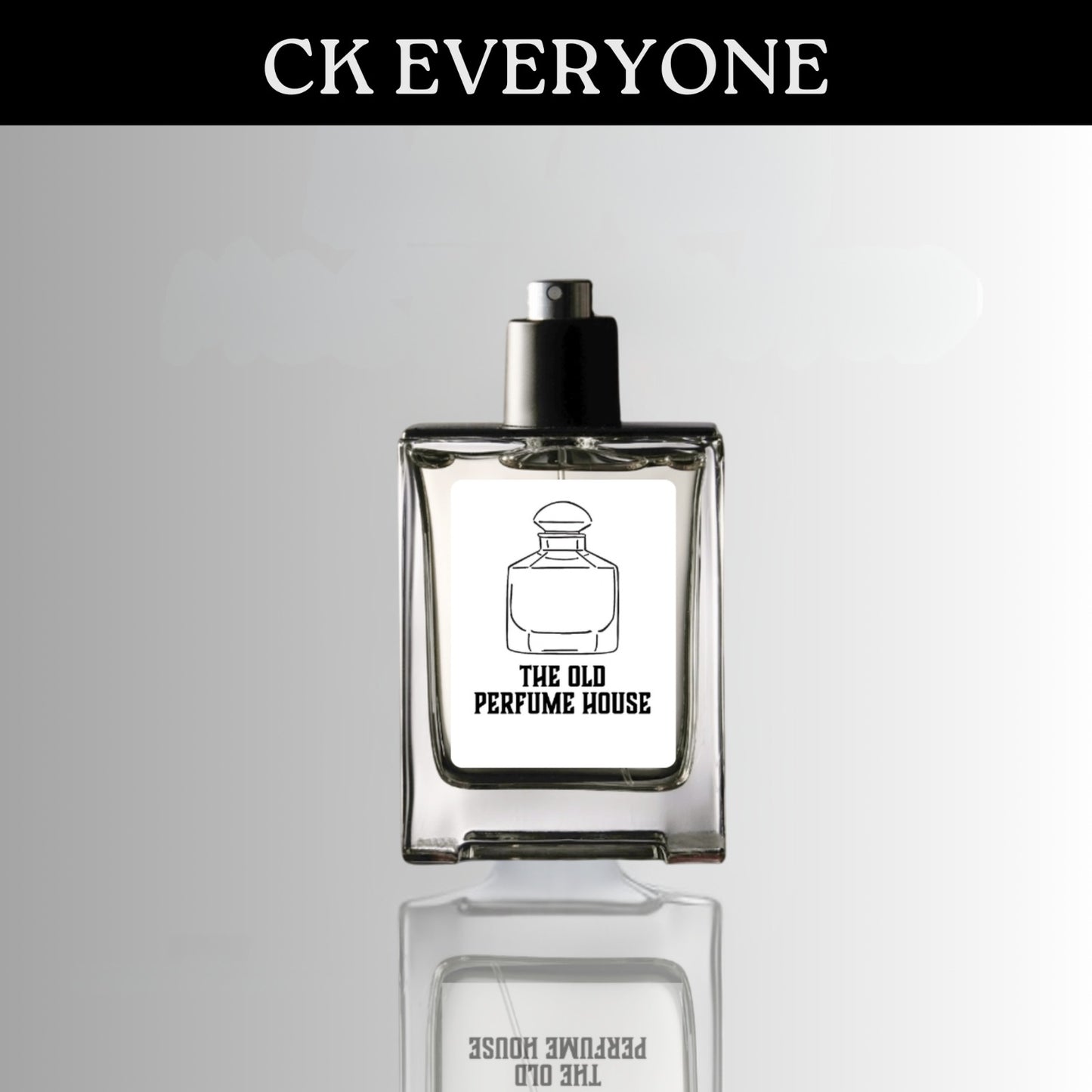 Inspired Version of Calvin Klein Everyone ( CK EO )